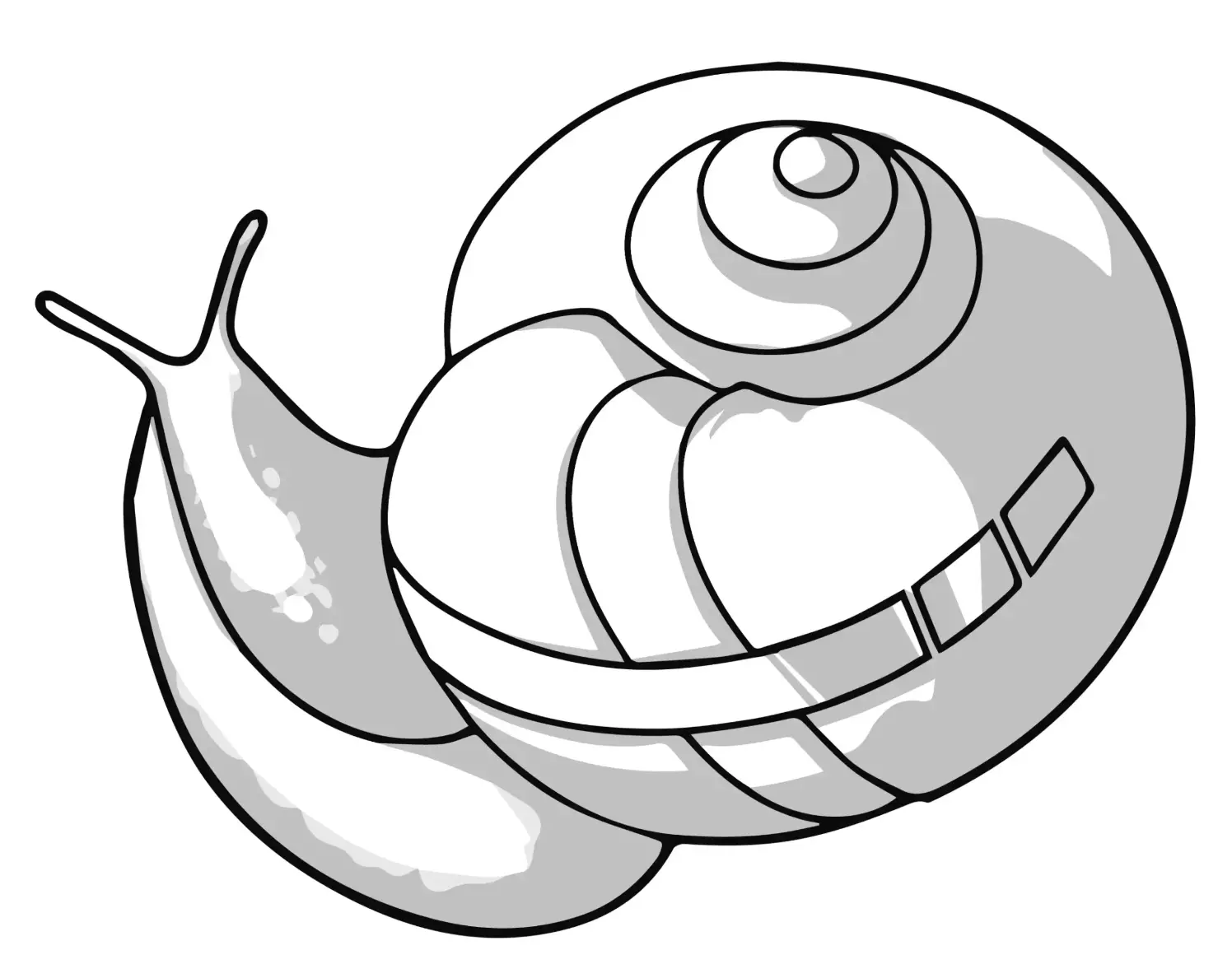 Free Snail Picture To Color In