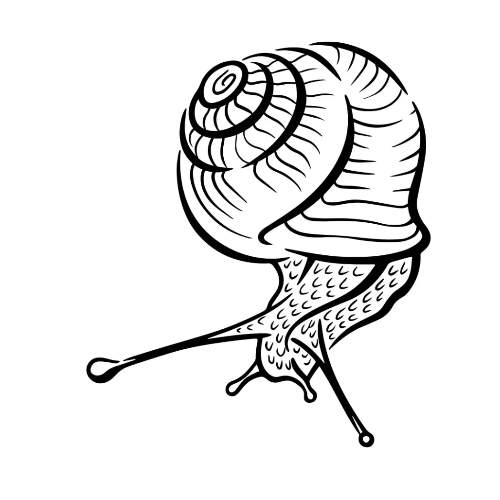 Free Snail Picture To Color In