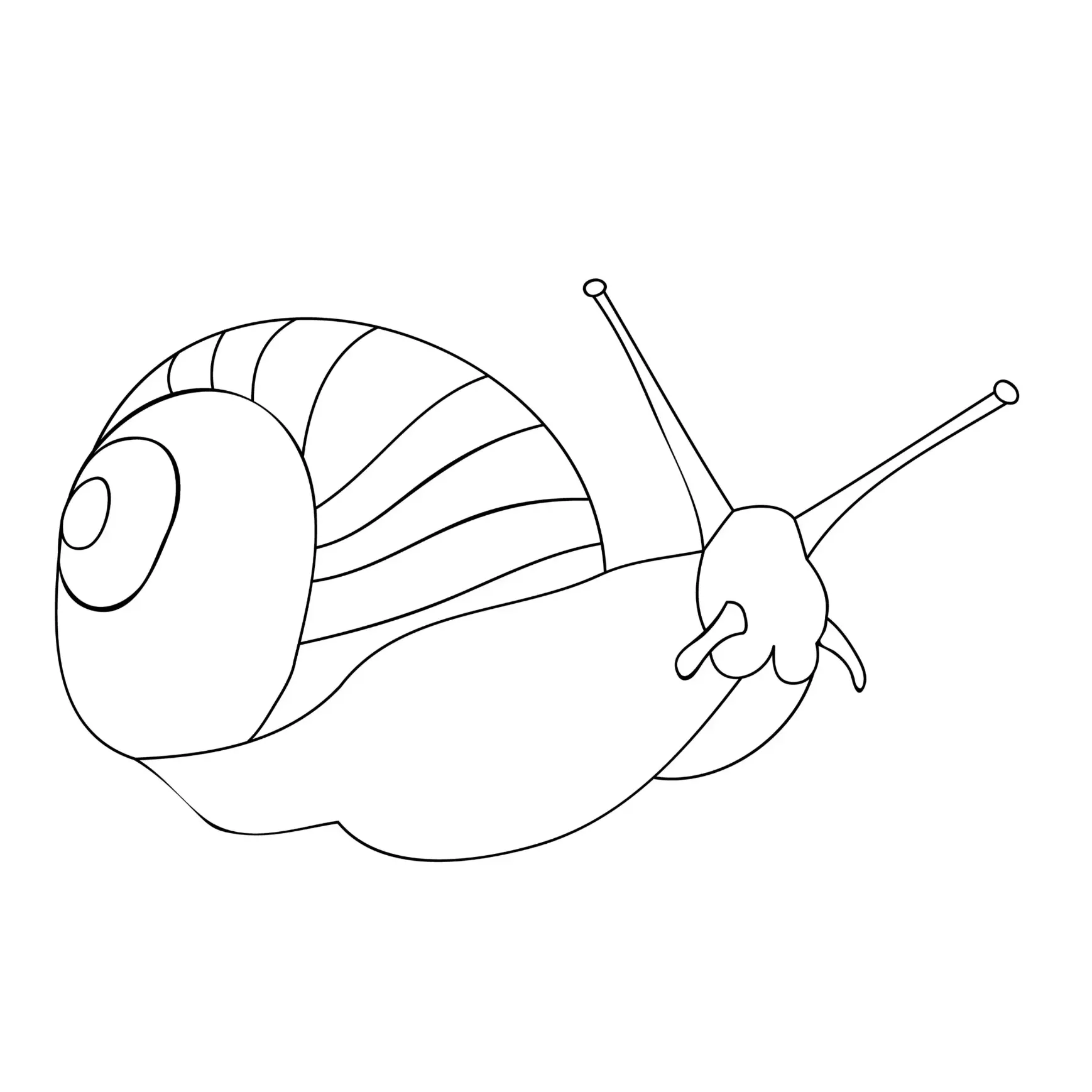 Free Snail Picture To Color In