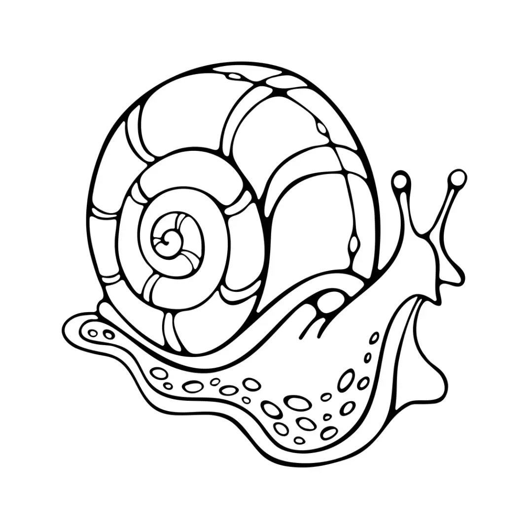 Free Snail Picture To Color In