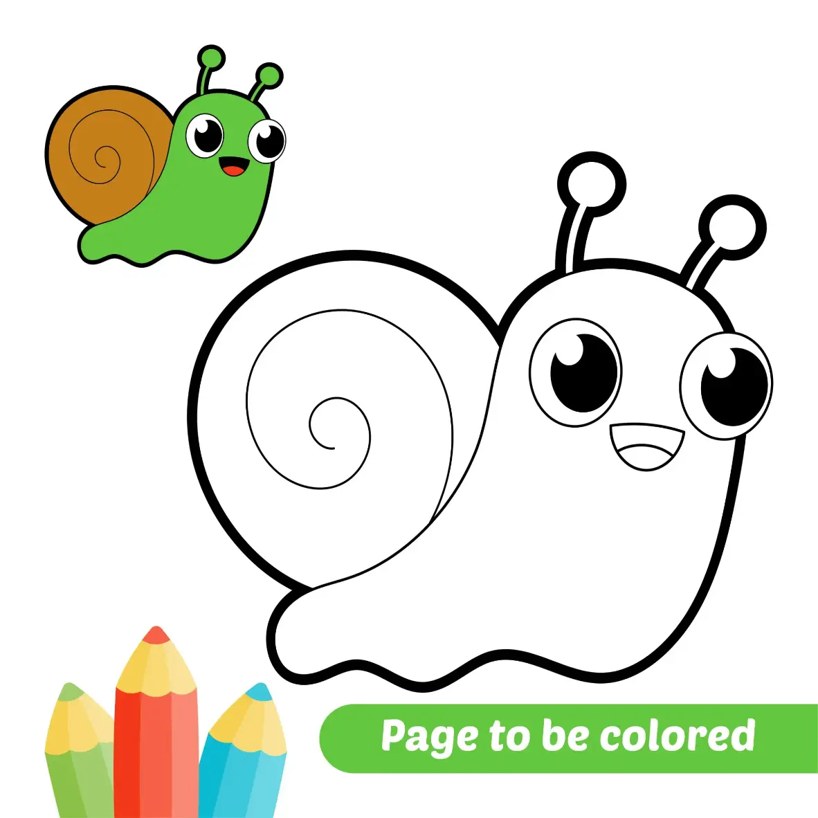 Free Snail Picture To Color In