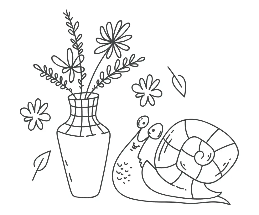 Free Snail Picture To Color In