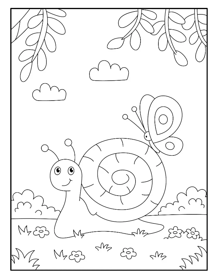 Free Snail Picture To Color In