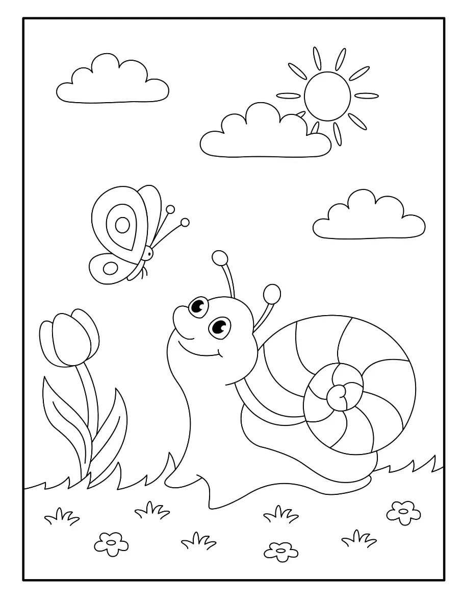 Free Snail Picture To Color In