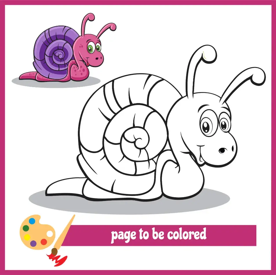 Free Snail Picture To Color In