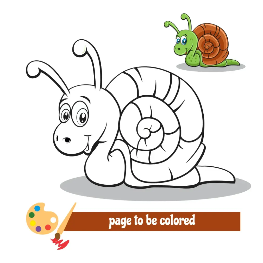 Free Snail Picture To Color In