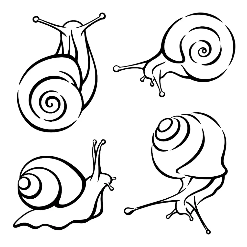 Free Snail Picture To Color In