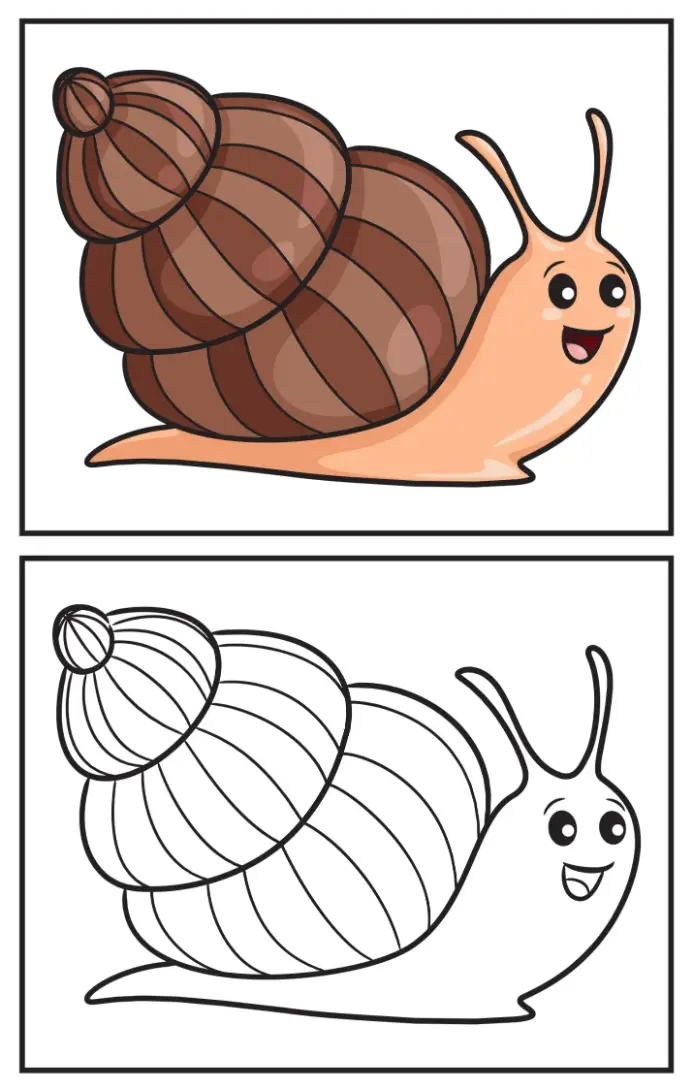 Free Snail Picture To Color In