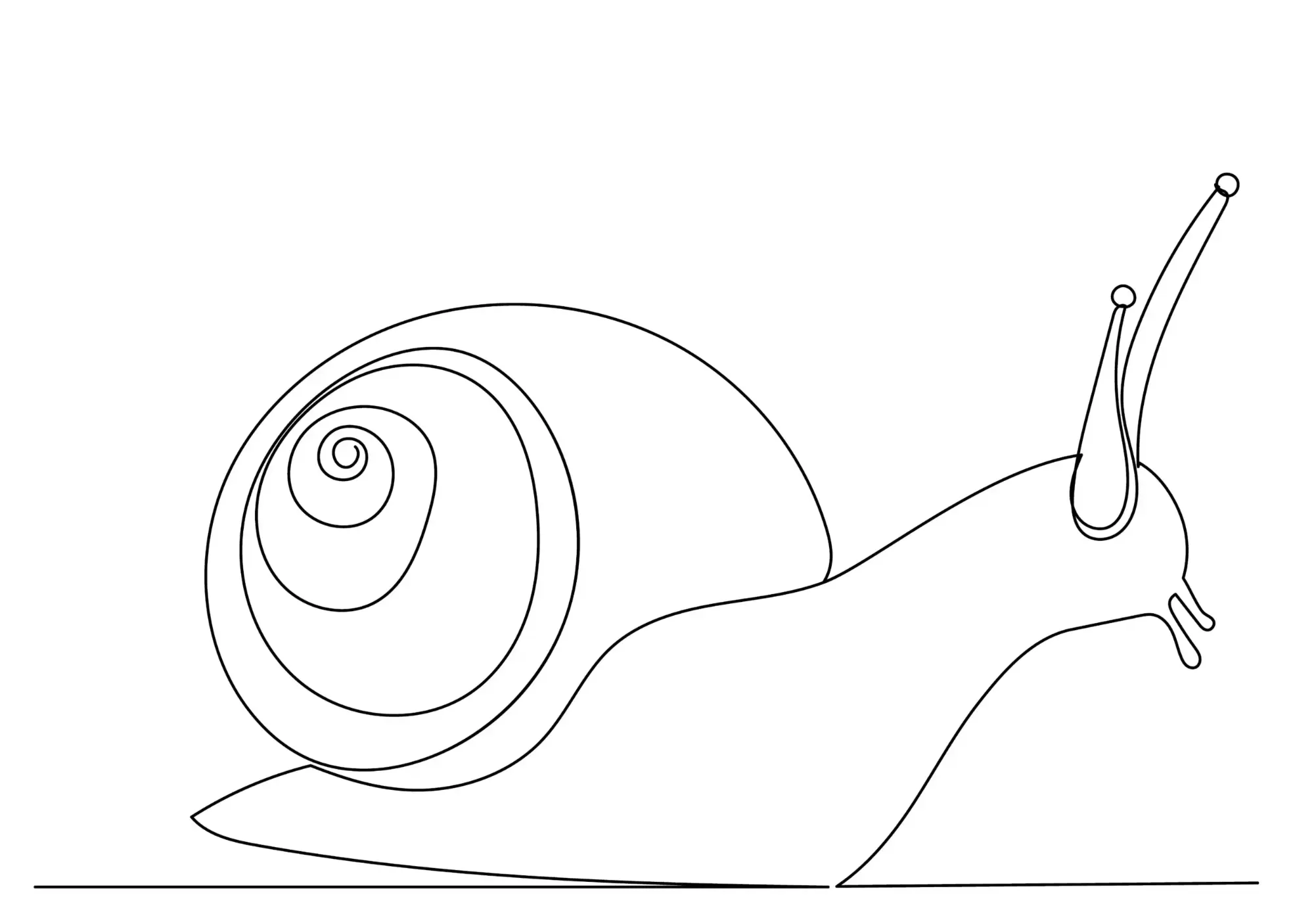 Free Snail Picture To Color In