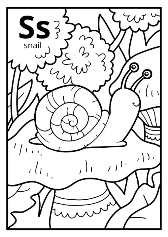 Free Snail Picture To Color In