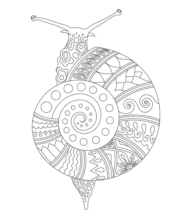 Free Snail Picture To Color In