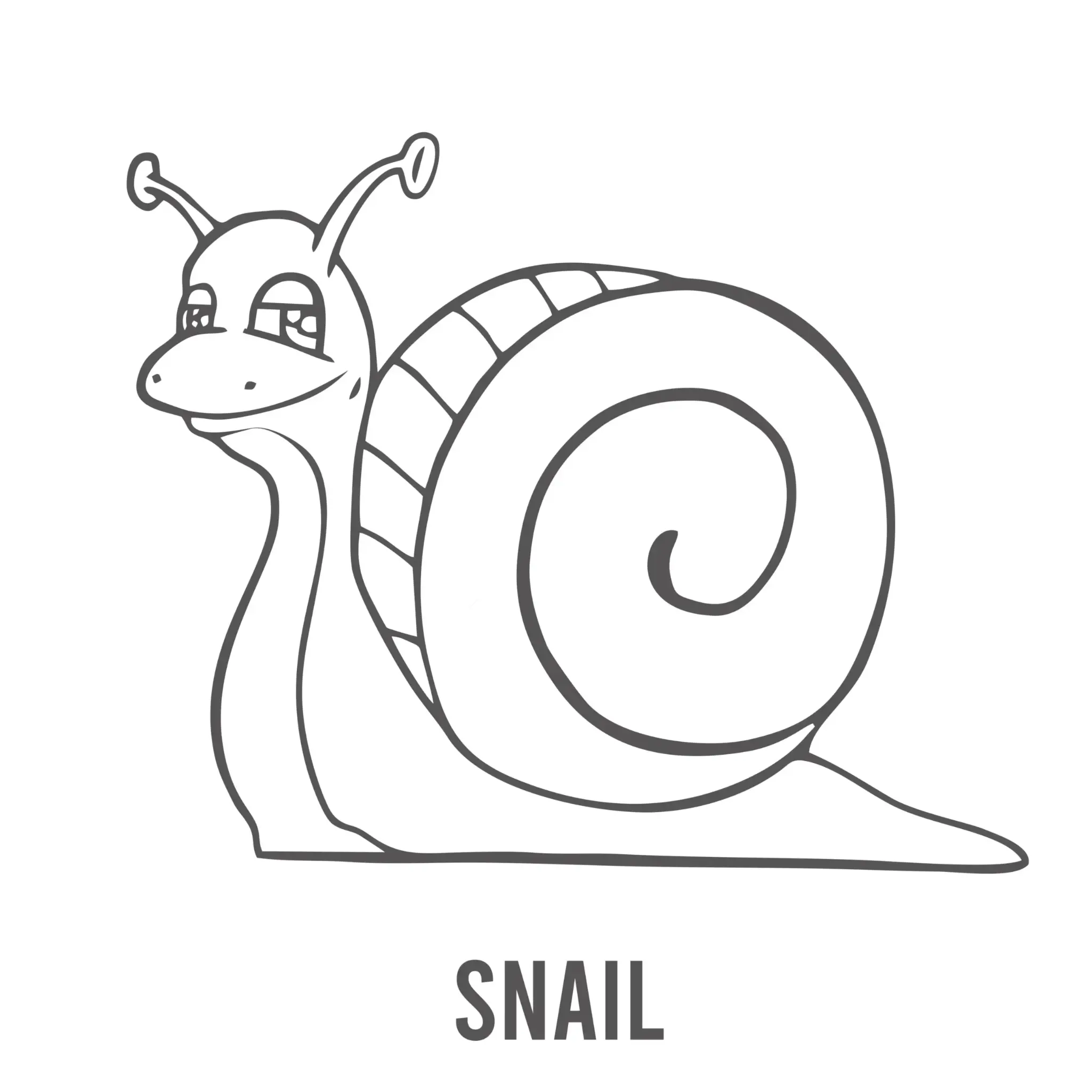 Free Snail Picture To Color In