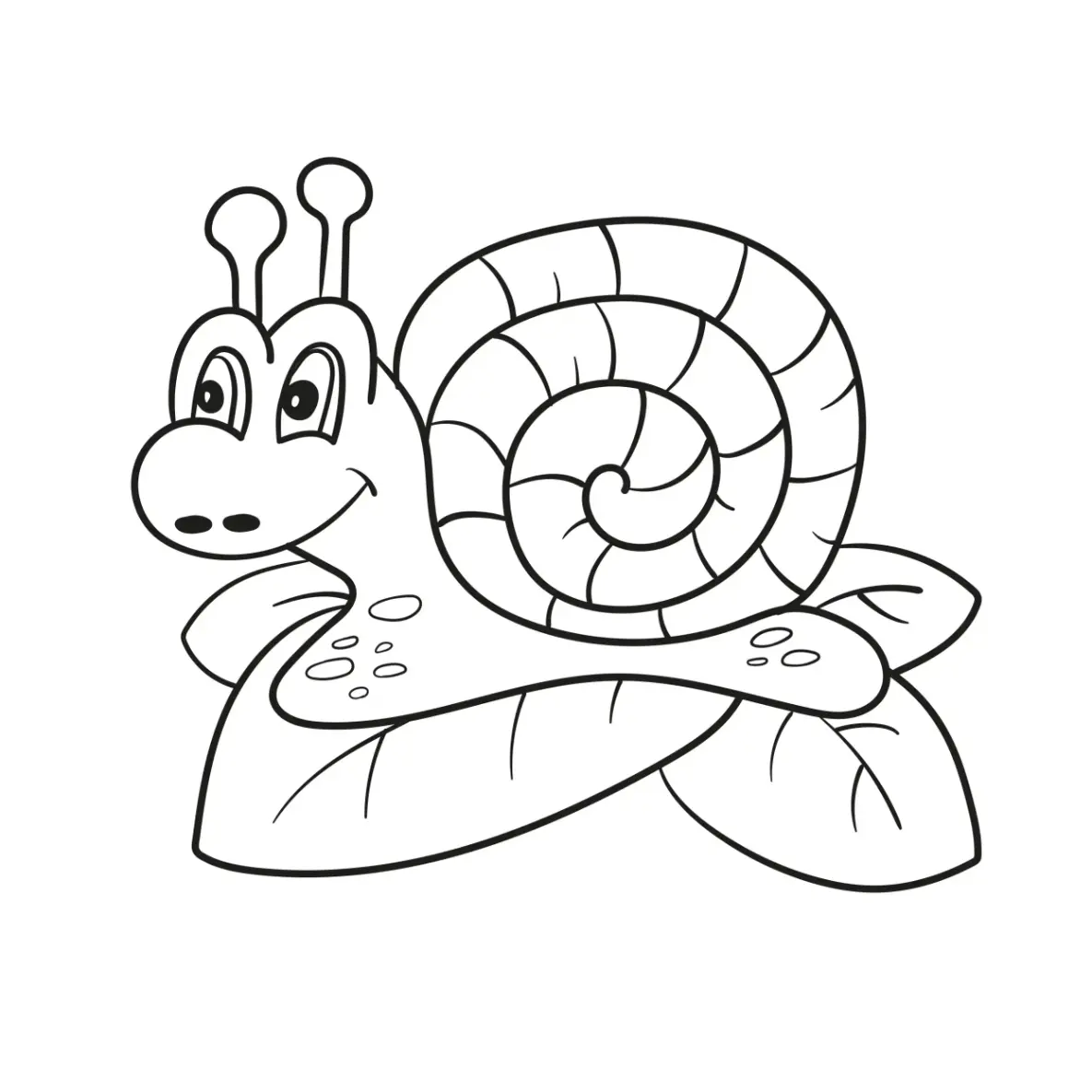 Free Snail Picture To Color In