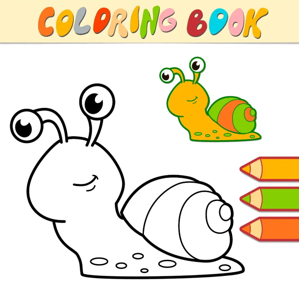 Free Snail Picture To Color In