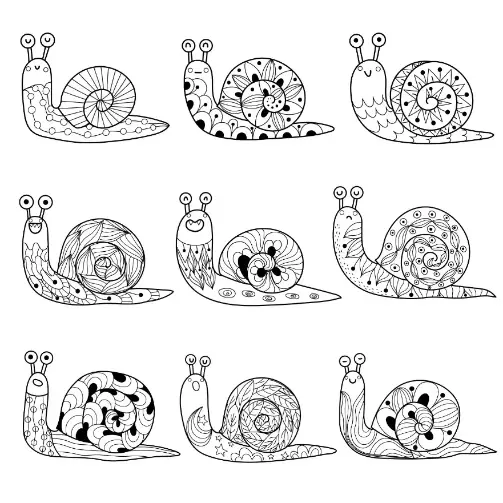 Free Snail Picture To Color In