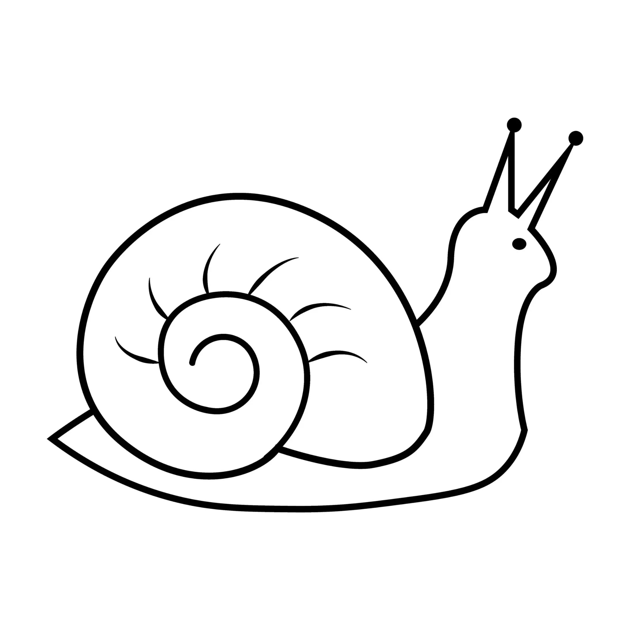 Free Snail Picture To Color In