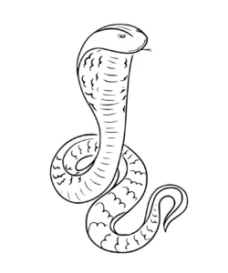 Free Snake Picture To Color In