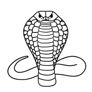 Free Snake Picture To Color In