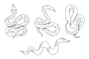 Free Snake Picture To Color In