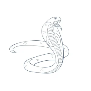 Free Snake Picture To Color In