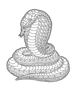 Free Snake Picture To Color In