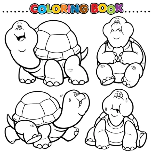 Free Turtle Picture To Color In