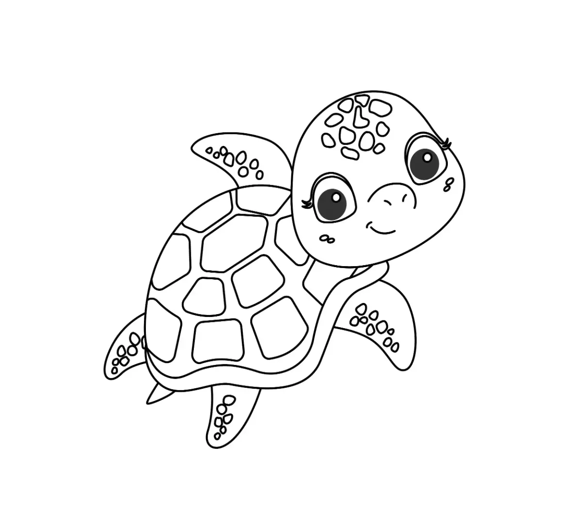 Free Turtle Picture To Color In