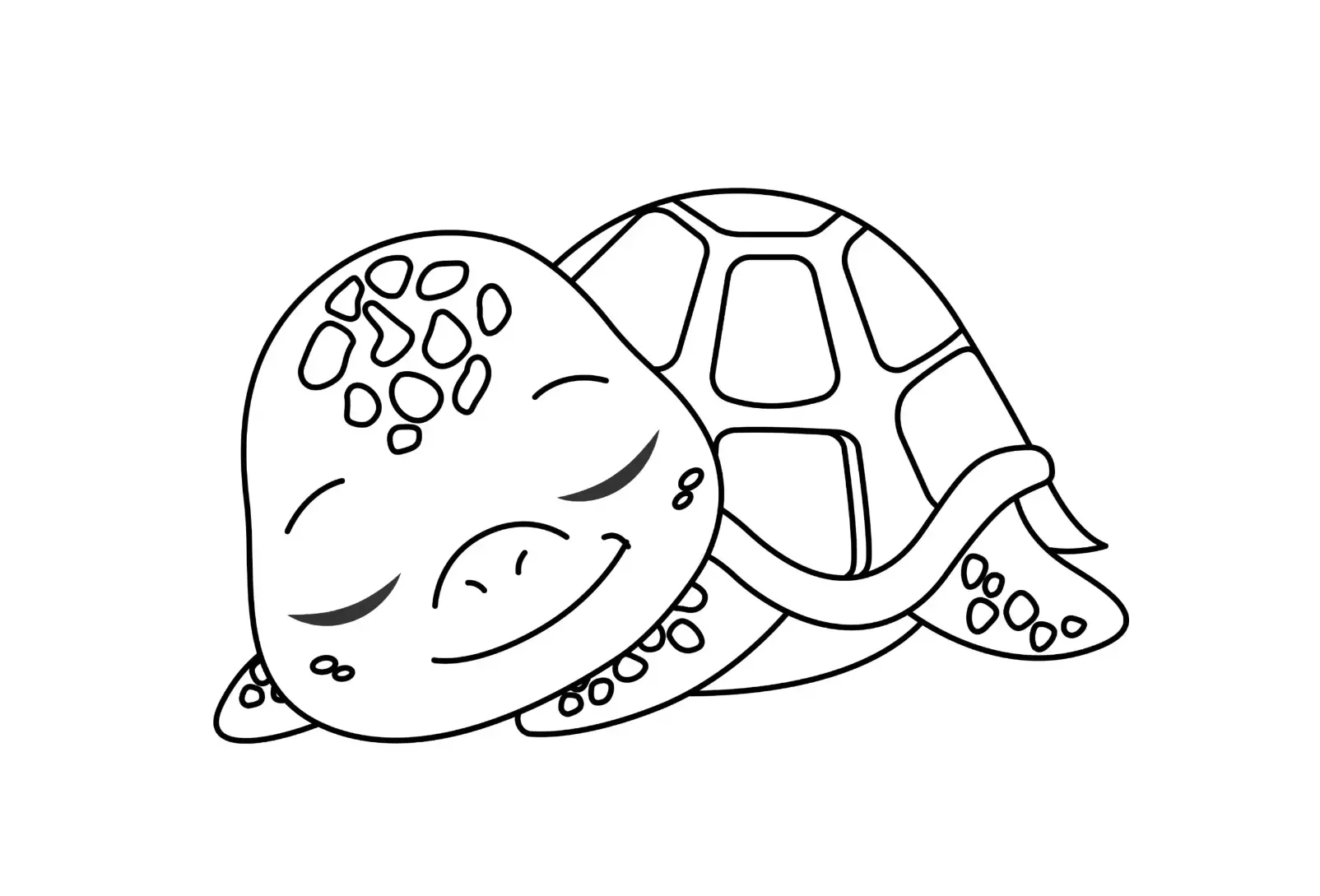 Free Turtle Picture To Color In