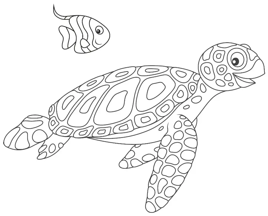 Free Turtle Picture To Color In