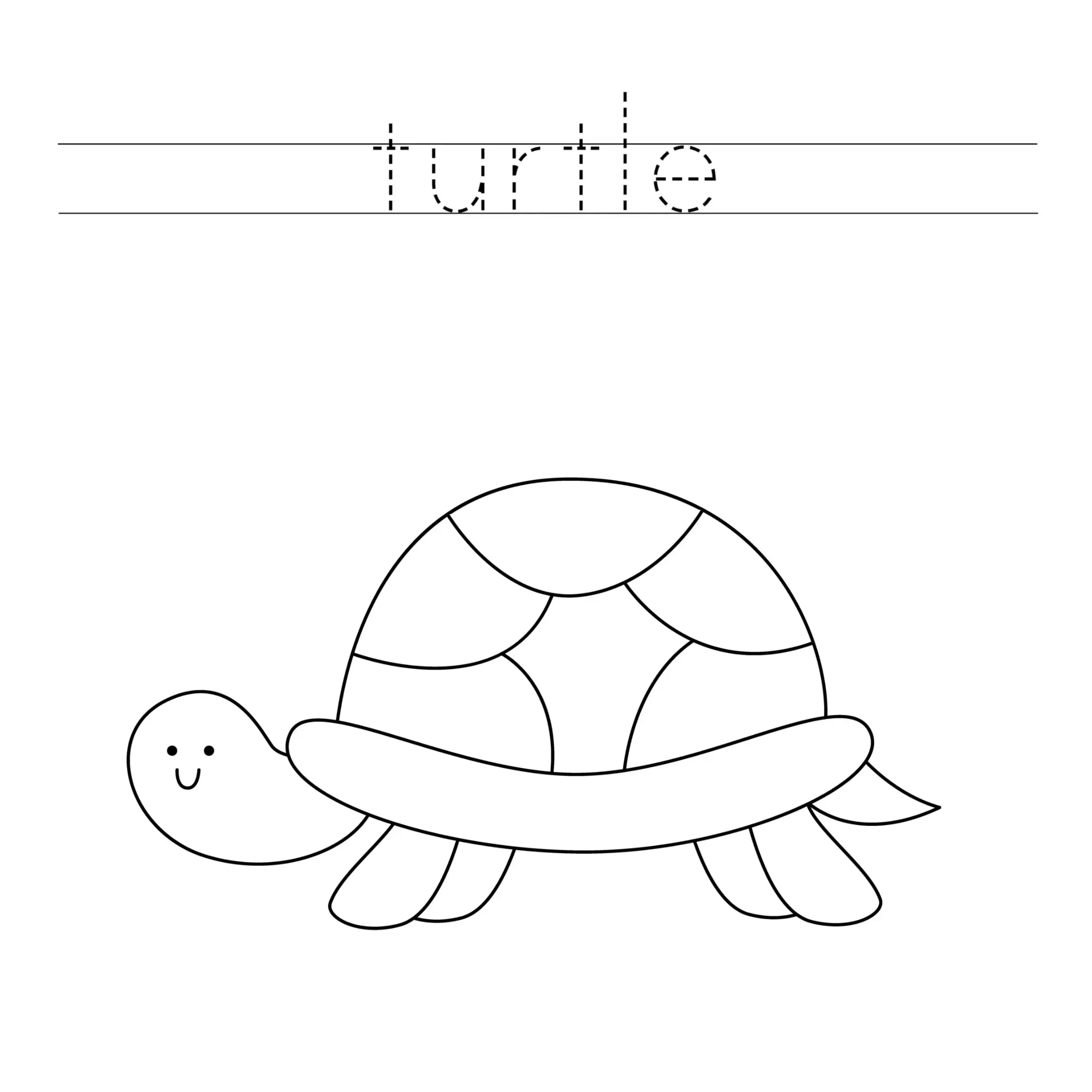 Free Turtle Picture To Color In