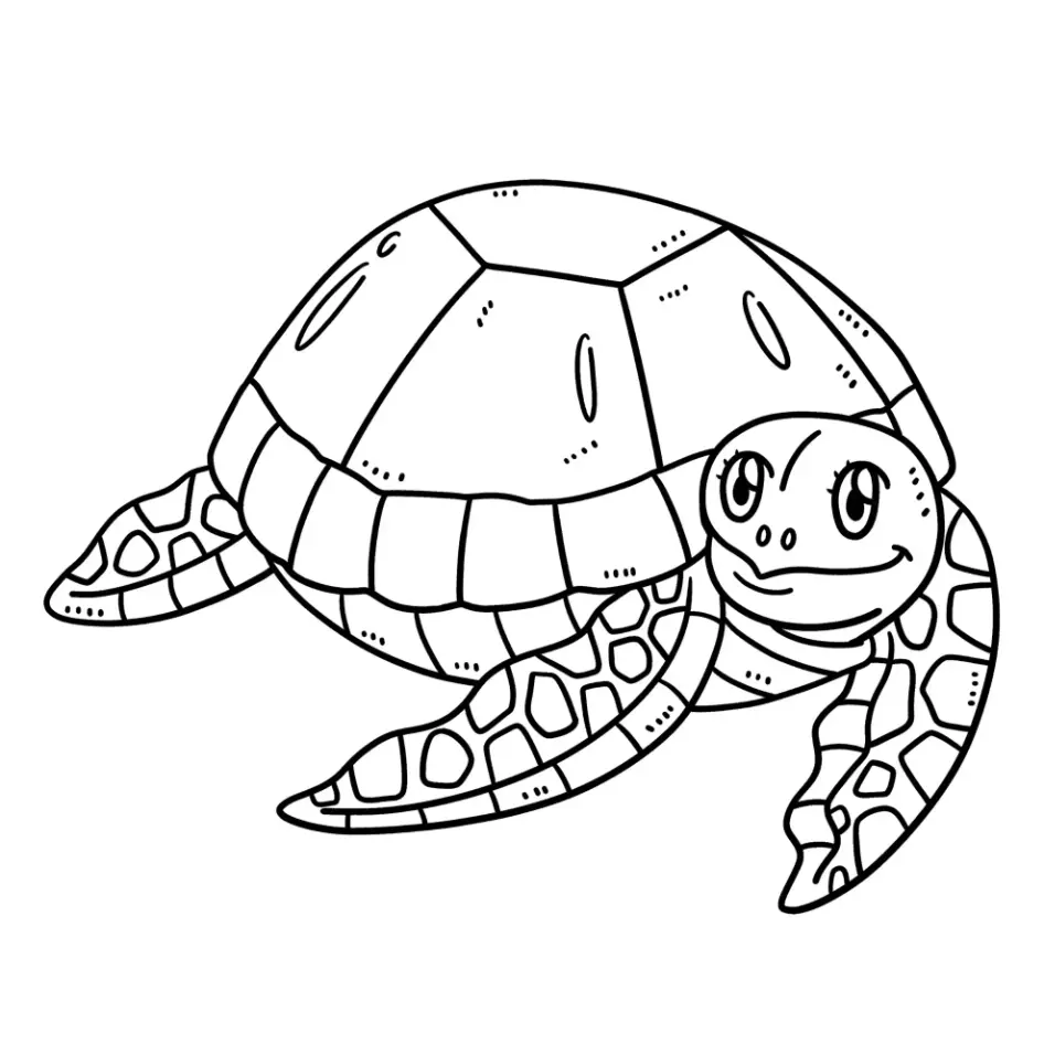 Free Turtle Picture To Color In