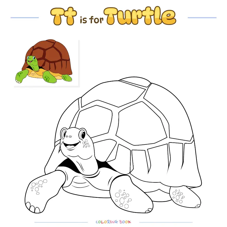 Free Turtle Picture To Color In