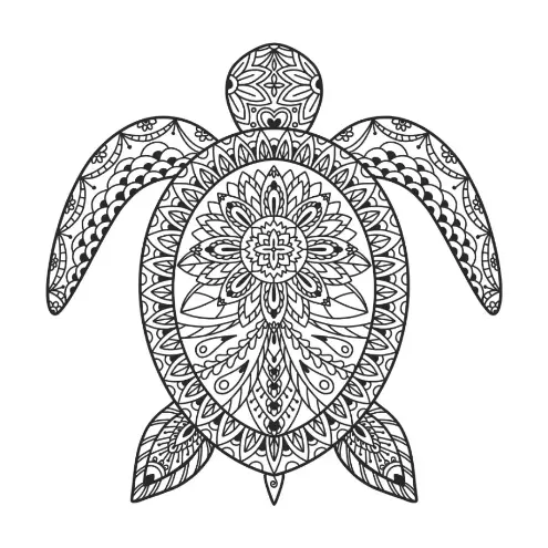 Free Turtle Picture To Color In