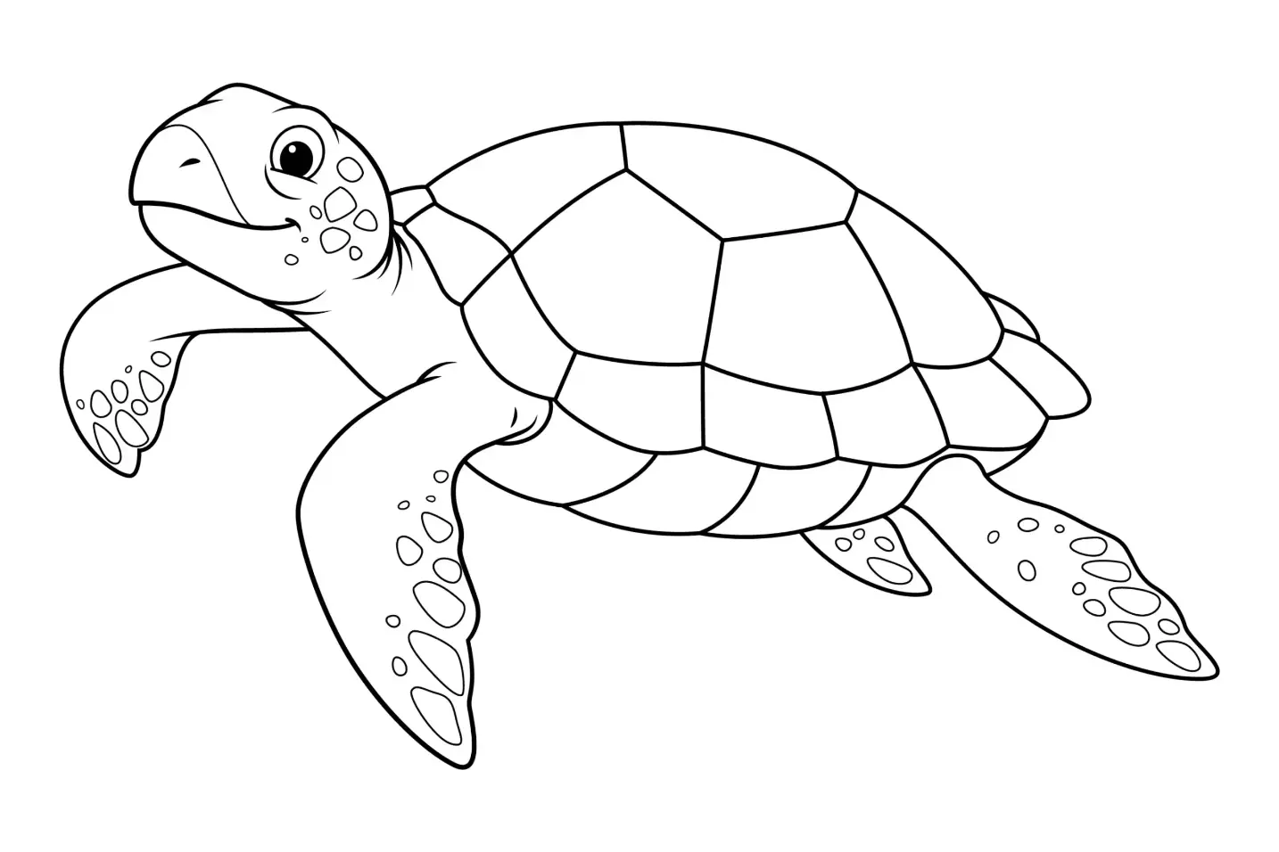 Free Turtle Picture To Color In