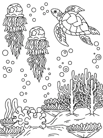 Free Turtle Picture To Color In