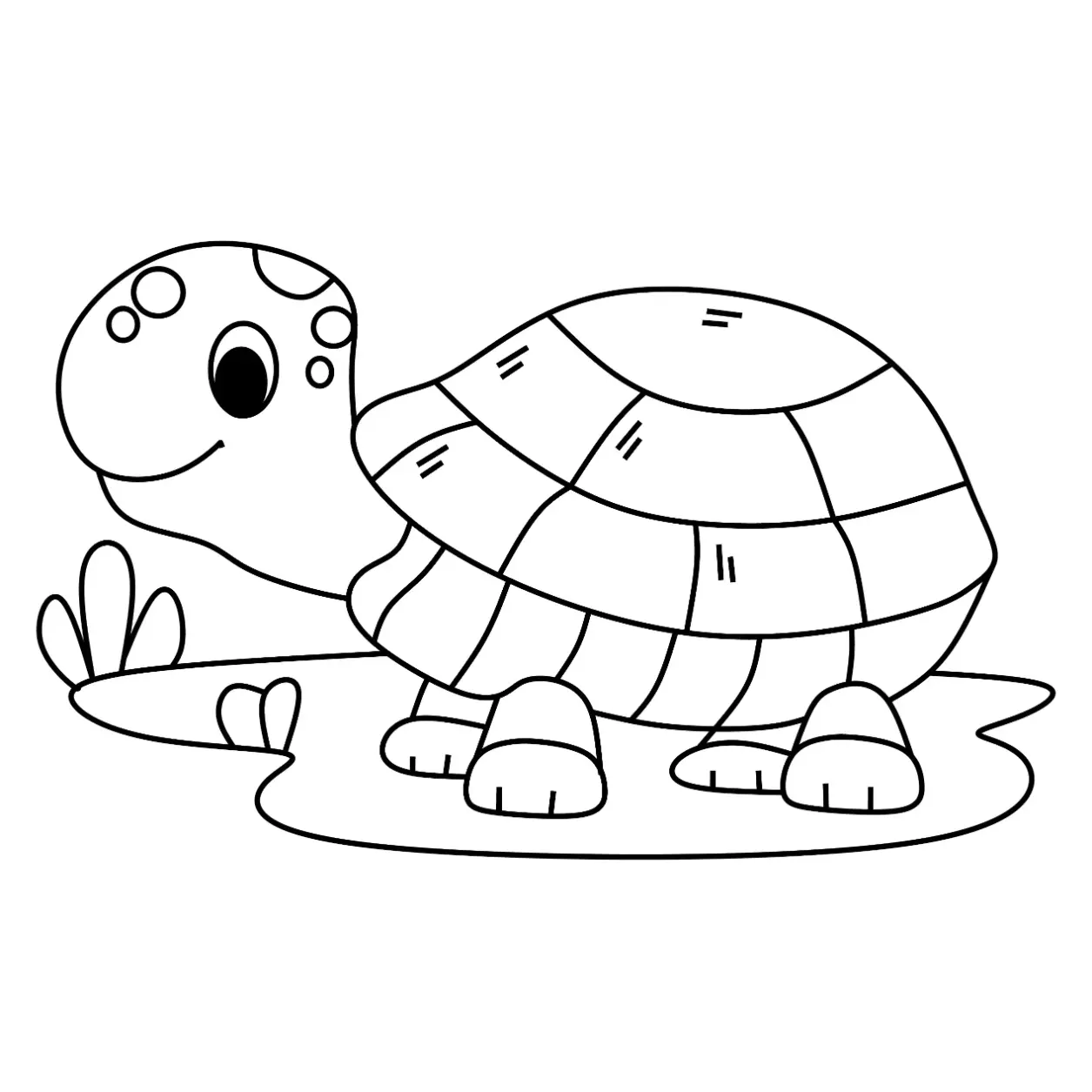 Free Turtle Picture To Color In