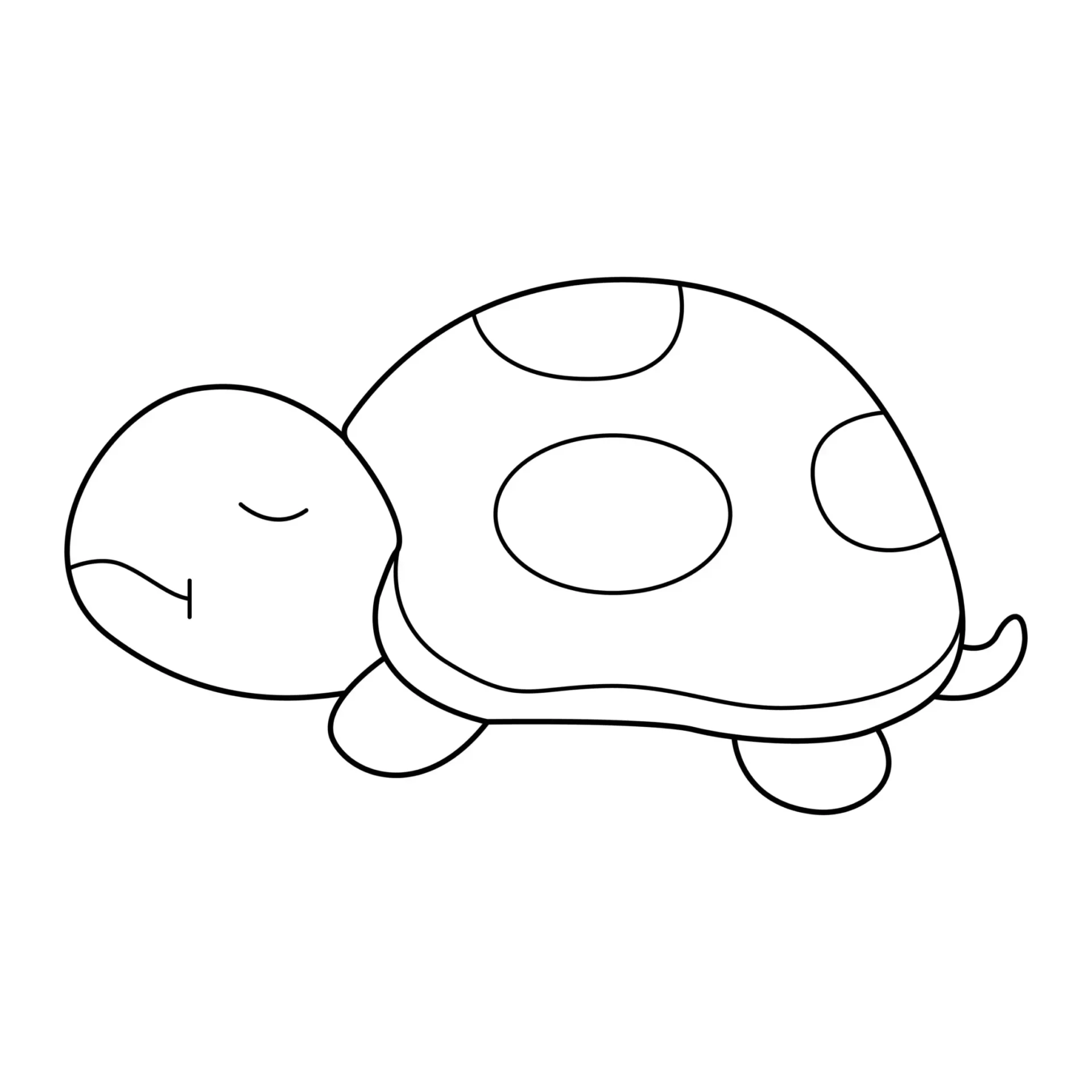 Free Turtle Picture To Color In