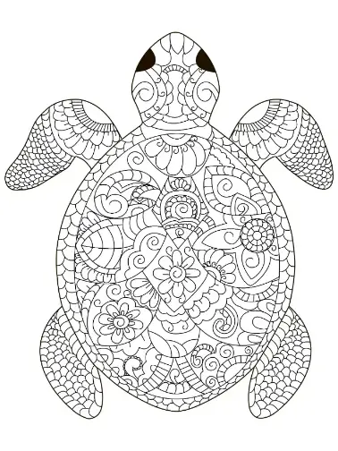 Free Turtle Picture To Color In