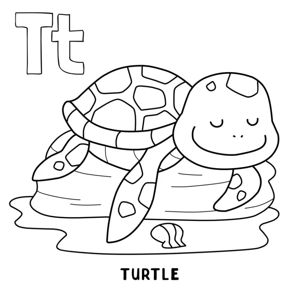 Free Turtle Picture To Color In