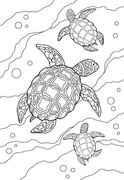 Free Turtle Picture To Color In