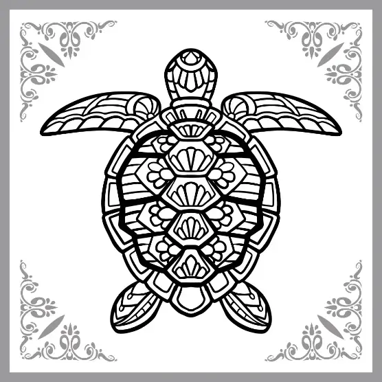 Free Turtle Picture To Color In