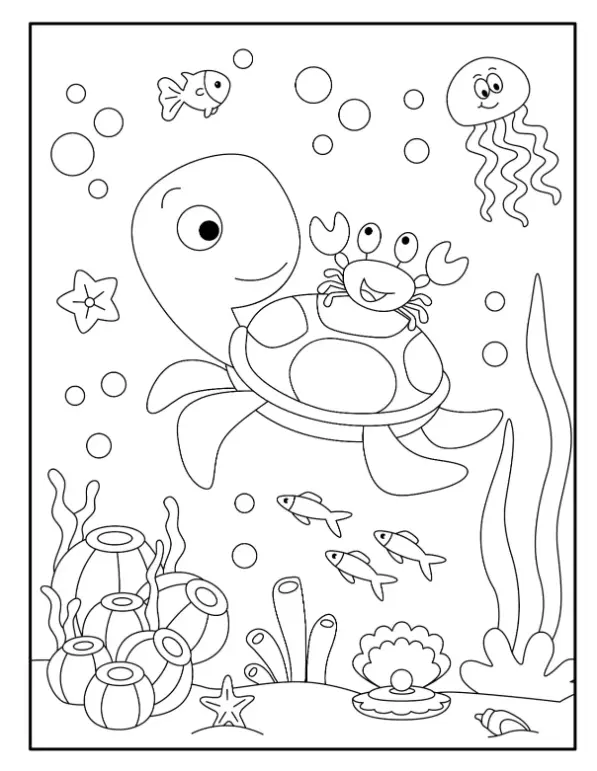 Free Turtle Picture To Color In