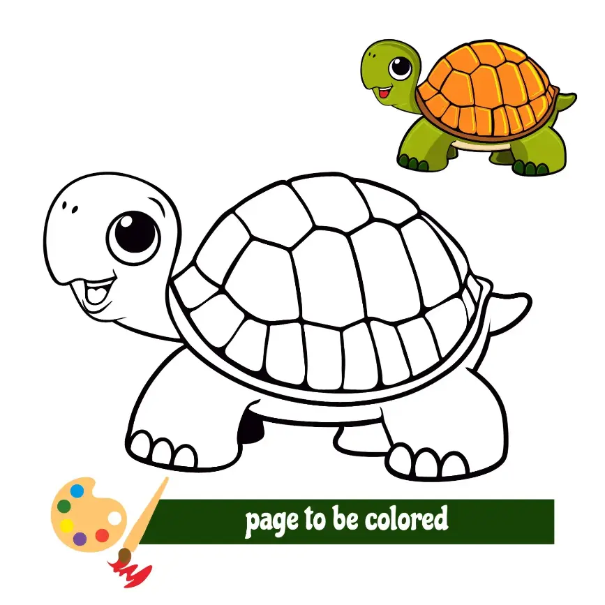 Free Turtle Picture To Color In