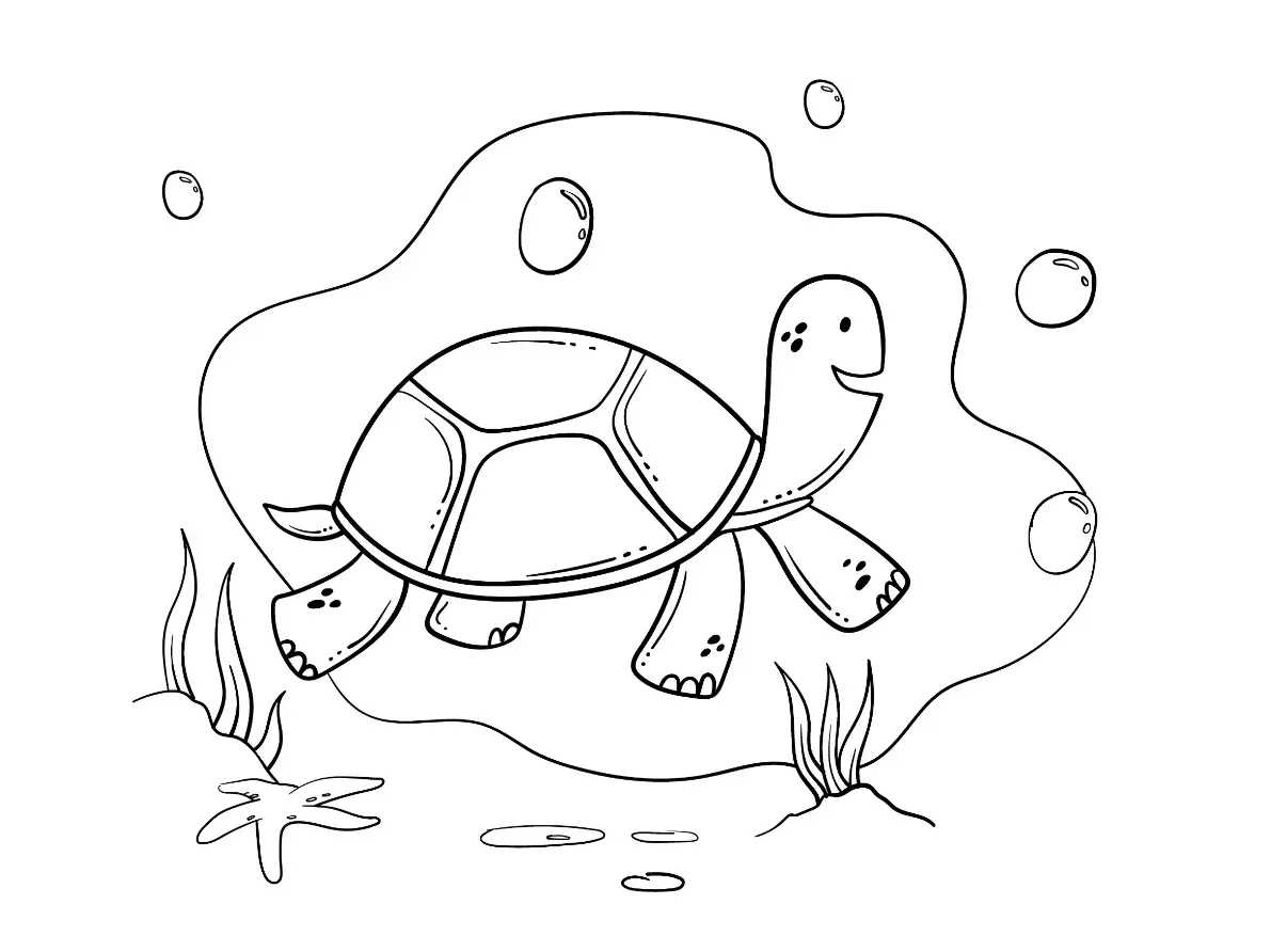 Free Turtle Picture To Color In