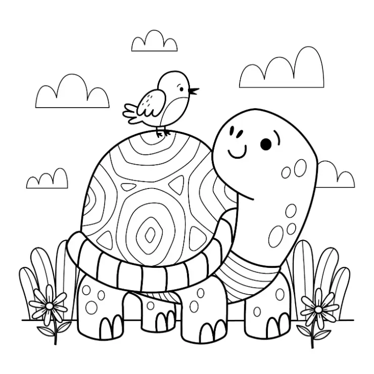 Free Turtle Picture To Color In