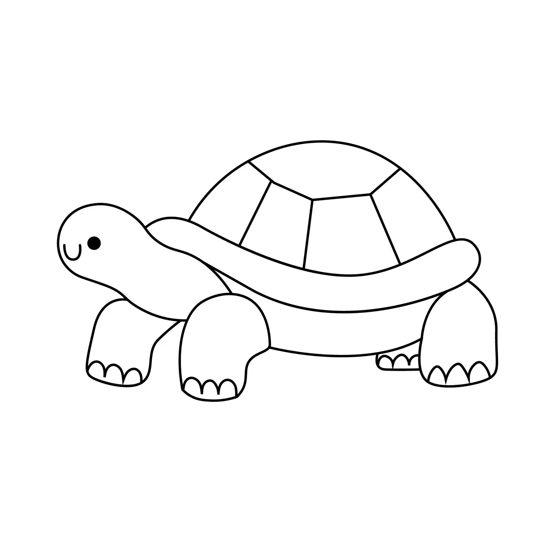 Free Turtle Picture To Color In