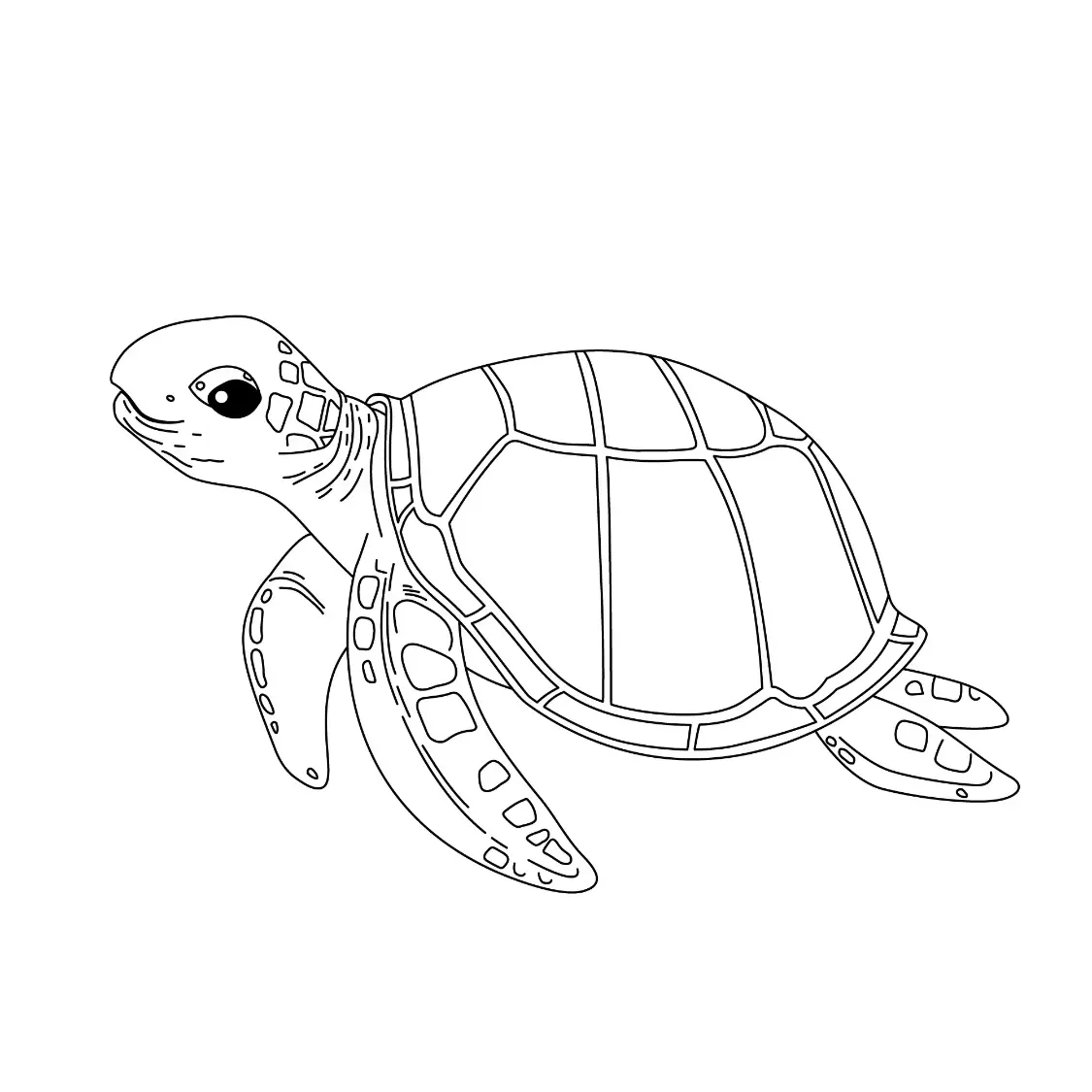 Free Turtle Picture To Color In