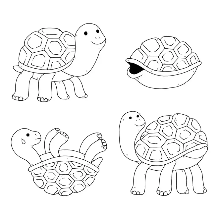 Free Turtle Picture To Color In