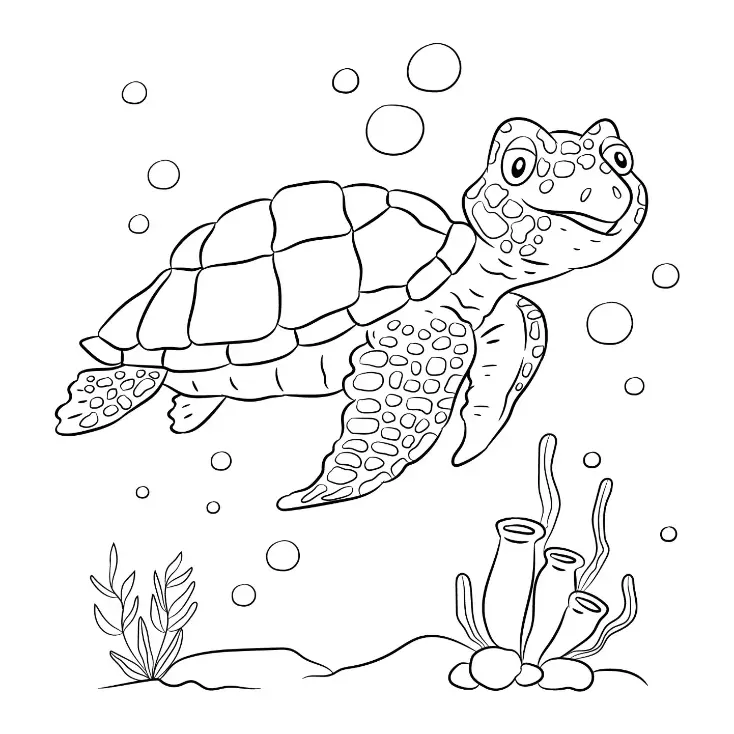 Free Turtle Picture To Color In