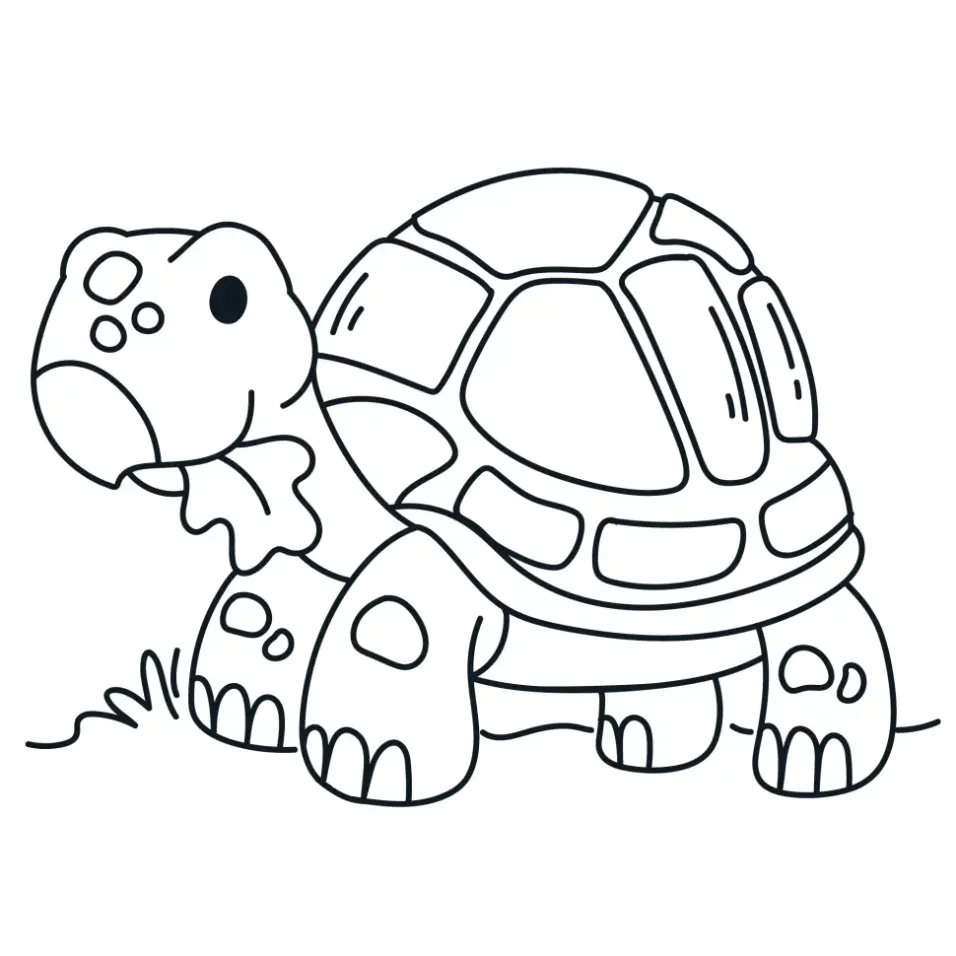 Free Turtle Picture To Color In